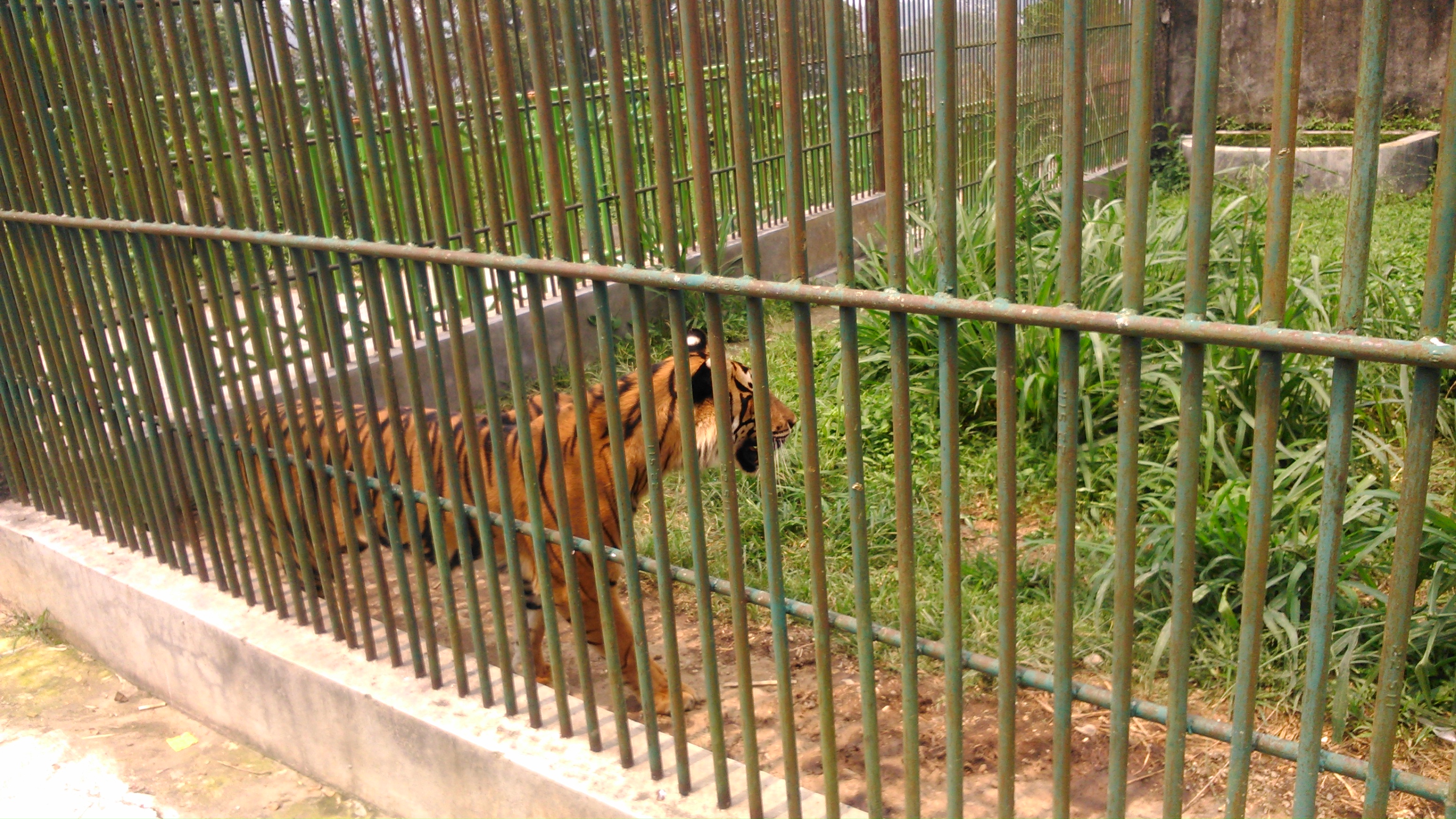 kebun binatang di jawa barat